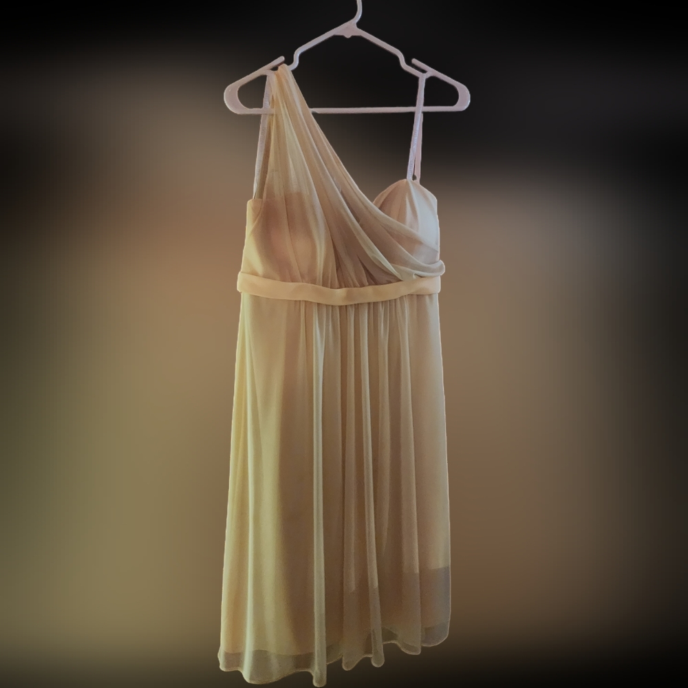 Brides maid dress